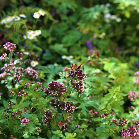 An Nead Beag Only 2 Miles From Дом отдыха