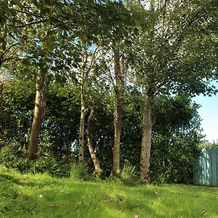 An Nead Beag Only 2 Miles From Holiday home