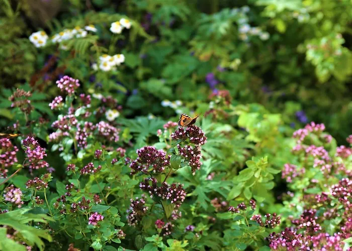 An Nead Beag Only 2 Miles From Nyaraló